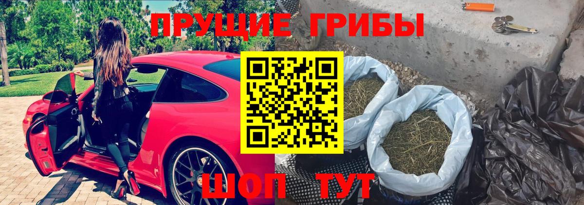 Галлюциногенные грибы мухоморы  Галлюциногенные грибы GOLDEN TEACHER  Вход с VPN  Владивосток 