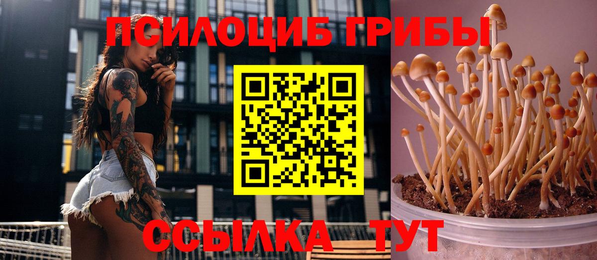 Псилоцибиновые грибы ЛСД Владивосток